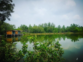 Calm at Bangphat